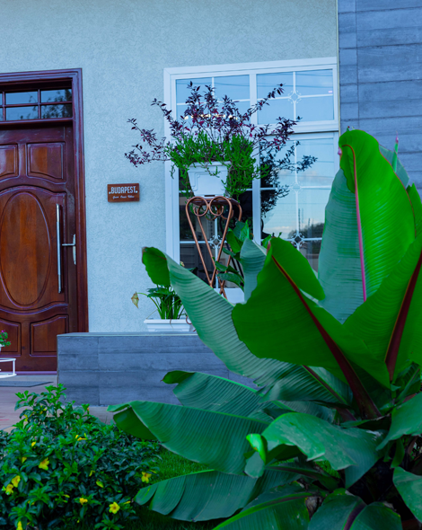 Your Dream Stay Awaits